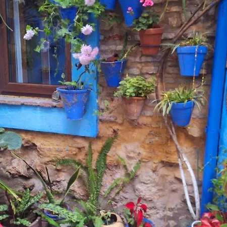 El Patio Azul Bohemio Magico Apartmán Córdoba