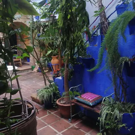 El Patio Azul Bohemio Magico *