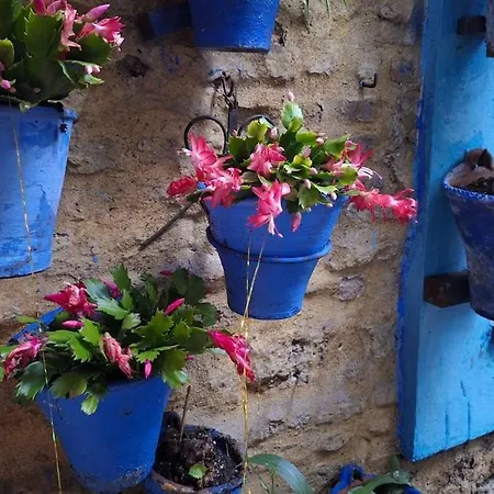 El Patio Azul Bohemio Magico Apartmán Córdoba