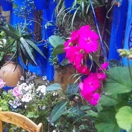Apartmán El Patio Azul Bohemio Magico