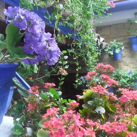Apartmán El Patio Azul Bohemio Magico Córdoba