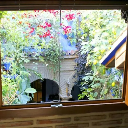 El Patio Azul Bohemio Magico Apartmán Córdoba